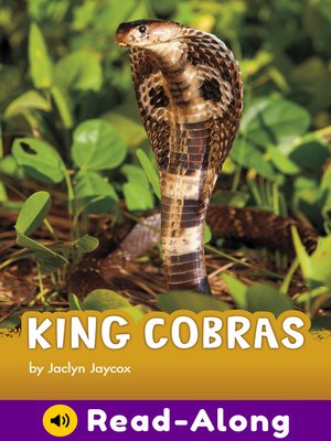 cover image of King Cobras